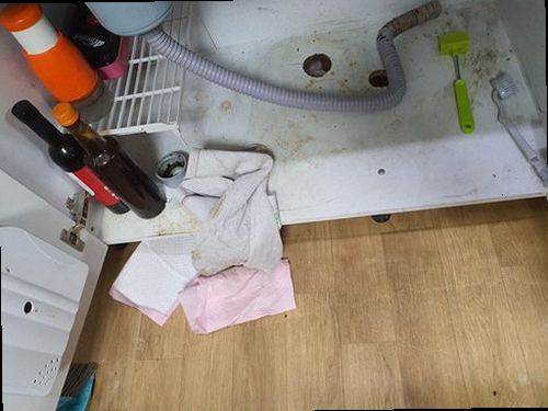 마포구 성산2동 하수구막힘 정화조 위생 청소 부분 조치와 전면 점검의 차이
